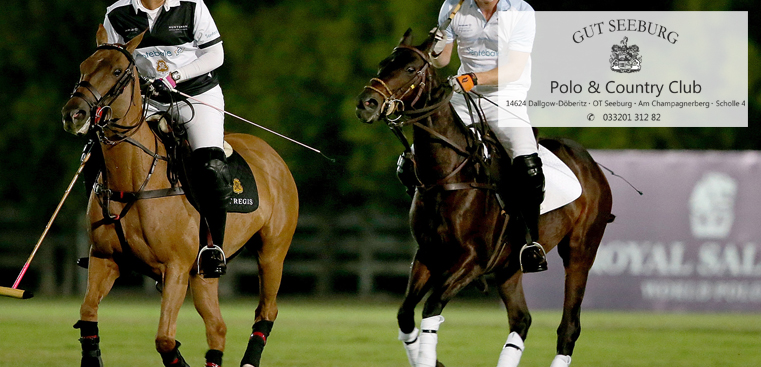 Polo_Header